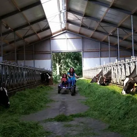 Деревянный коттедж Hoeve De Pippert *