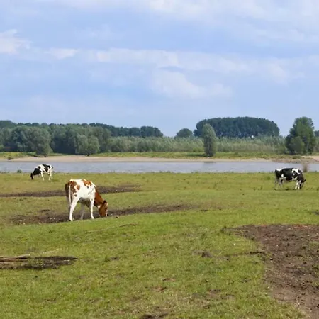 Hoeve De Pippert Orman Evi