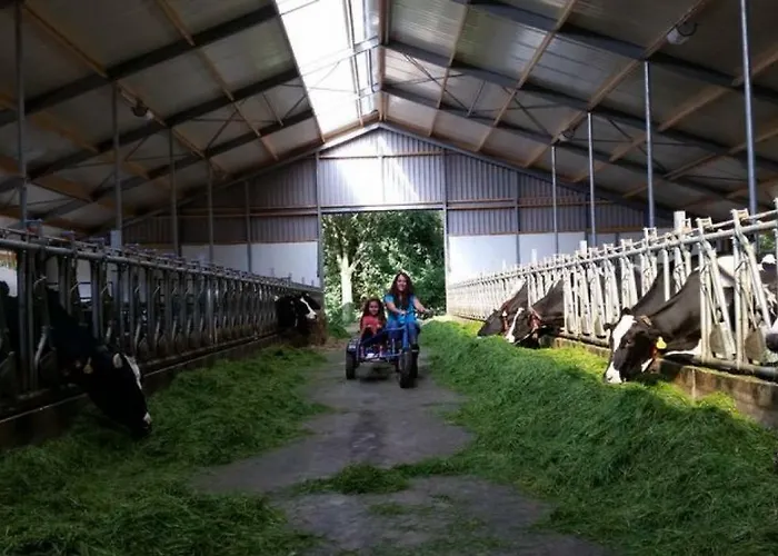 Lodge Hoeve De Pippert *