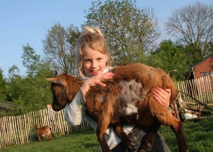 Hoeve De Pippert Lodge *