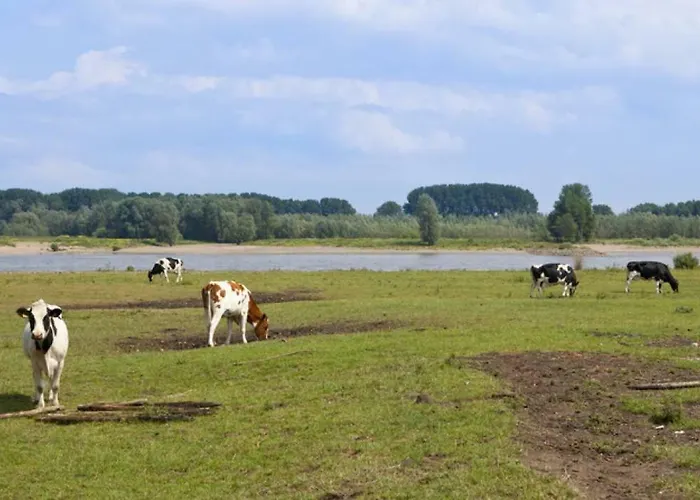 Hoeve De Pippert Lodge