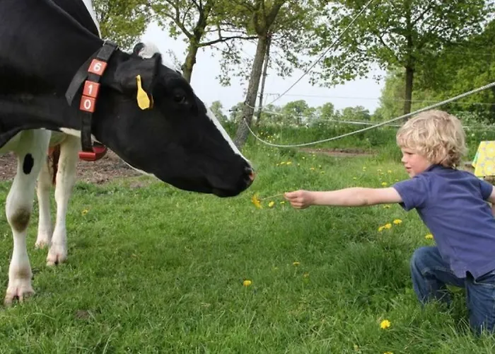 Hoeve De Pippert Lodge Ophemert