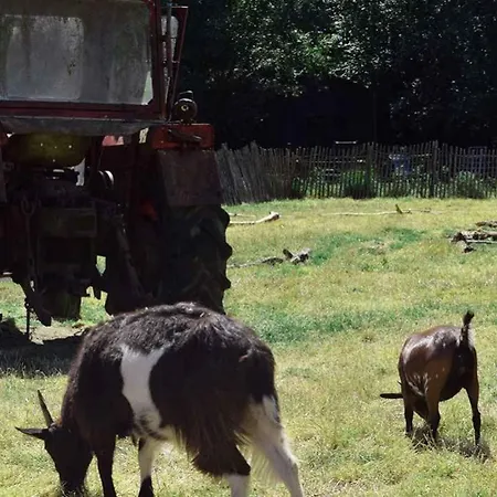 Hoeve De Pippert Jaktstuga