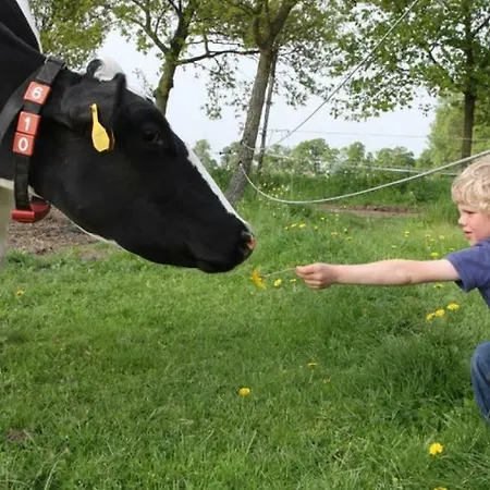 Hoeve De Pippert Jaktstuga Ophemert
